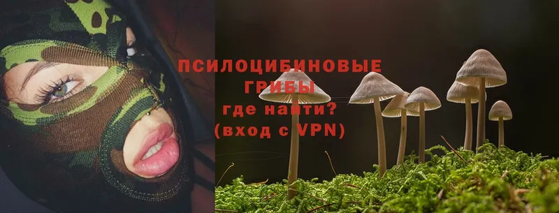 Псилоцибиновые грибы Psilocybine cubensis  закладки  Кулебаки 